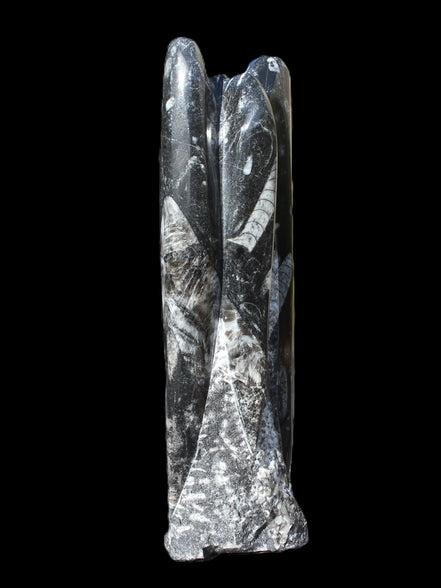 Orthoceras fossil tower 1279g Rocks and Things