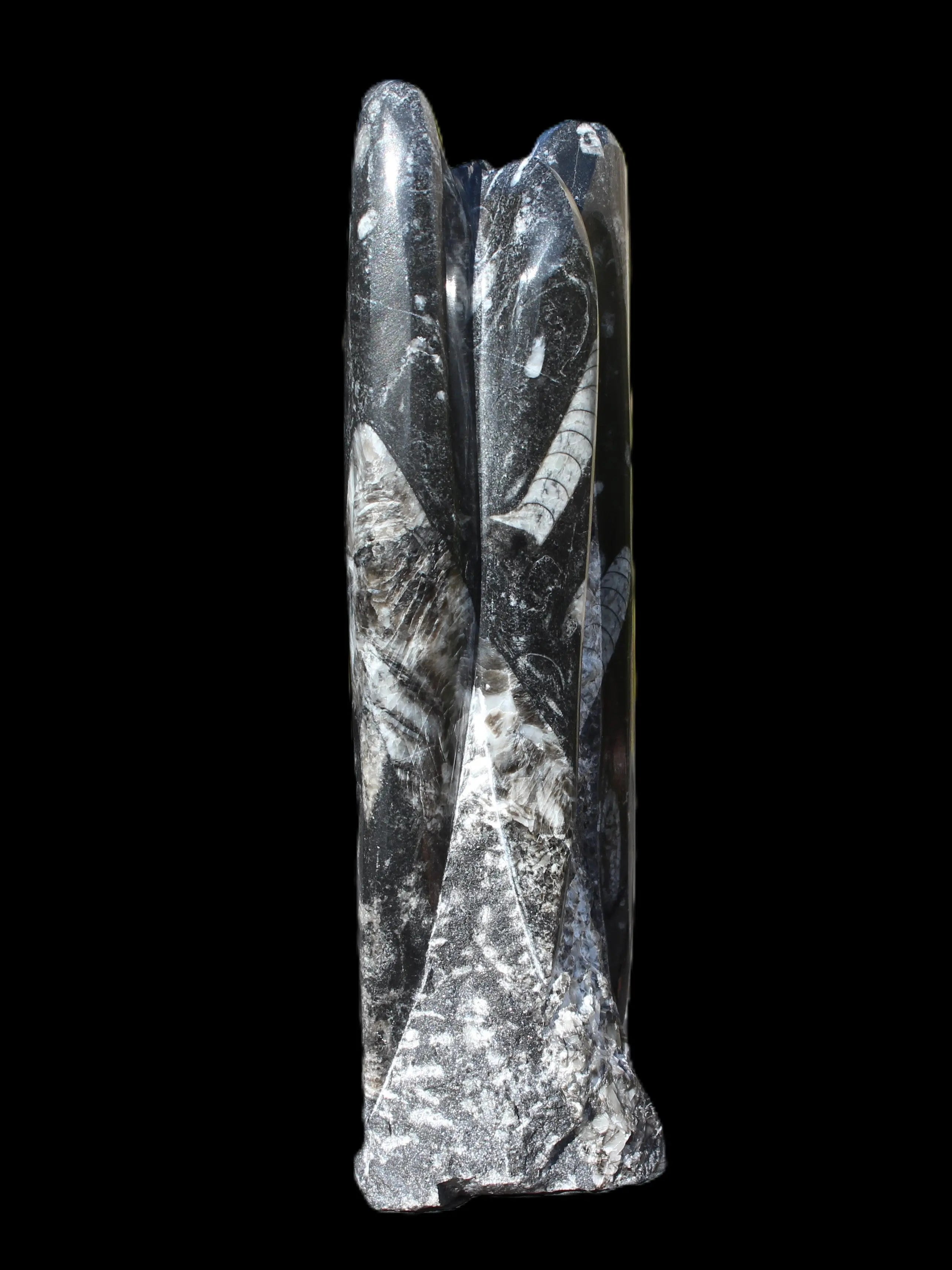 Orthoceras fossil tower 1279g Rocks and Things