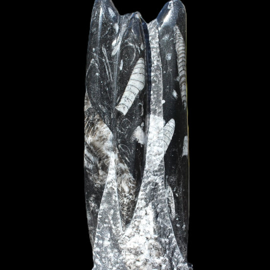 Orthoceras fossil tower 1279g Rocks and Things
