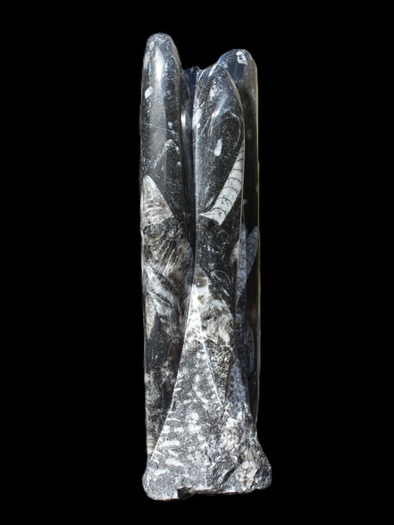 Orthoceras fossil tower 1279g Rocks and Things