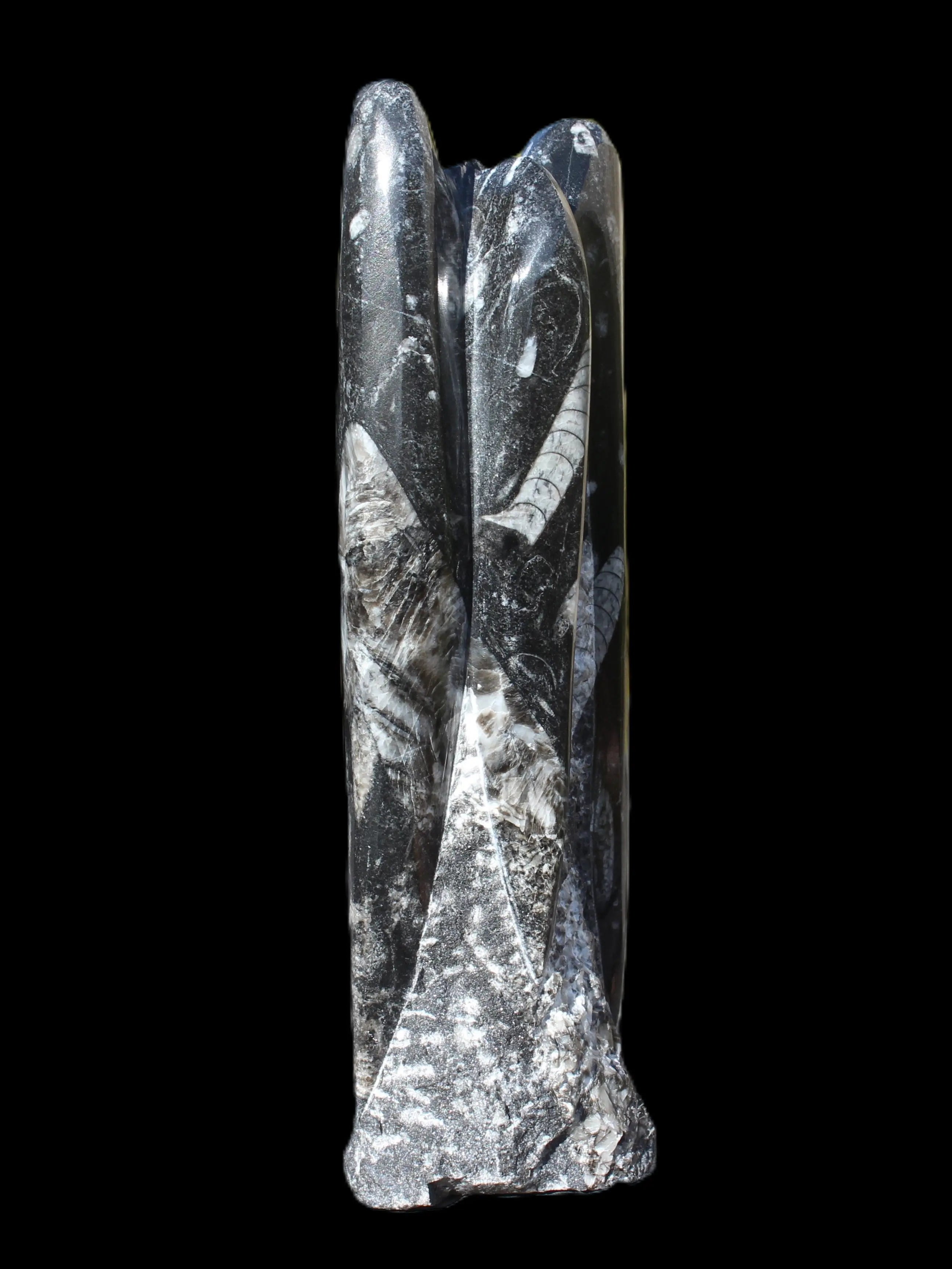 Orthoceras fossil tower 1279g Rocks and Things