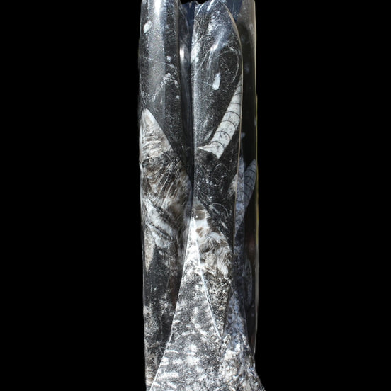 Orthoceras fossil tower 1279g Rocks and Things