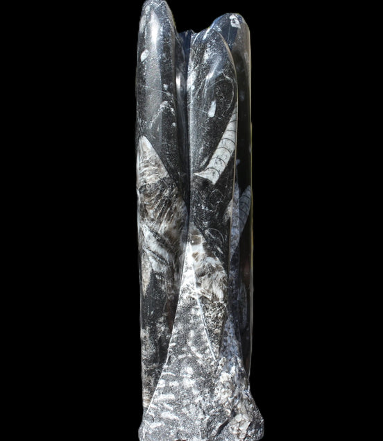 Orthoceras fossil tower 1279g Rocks and Things