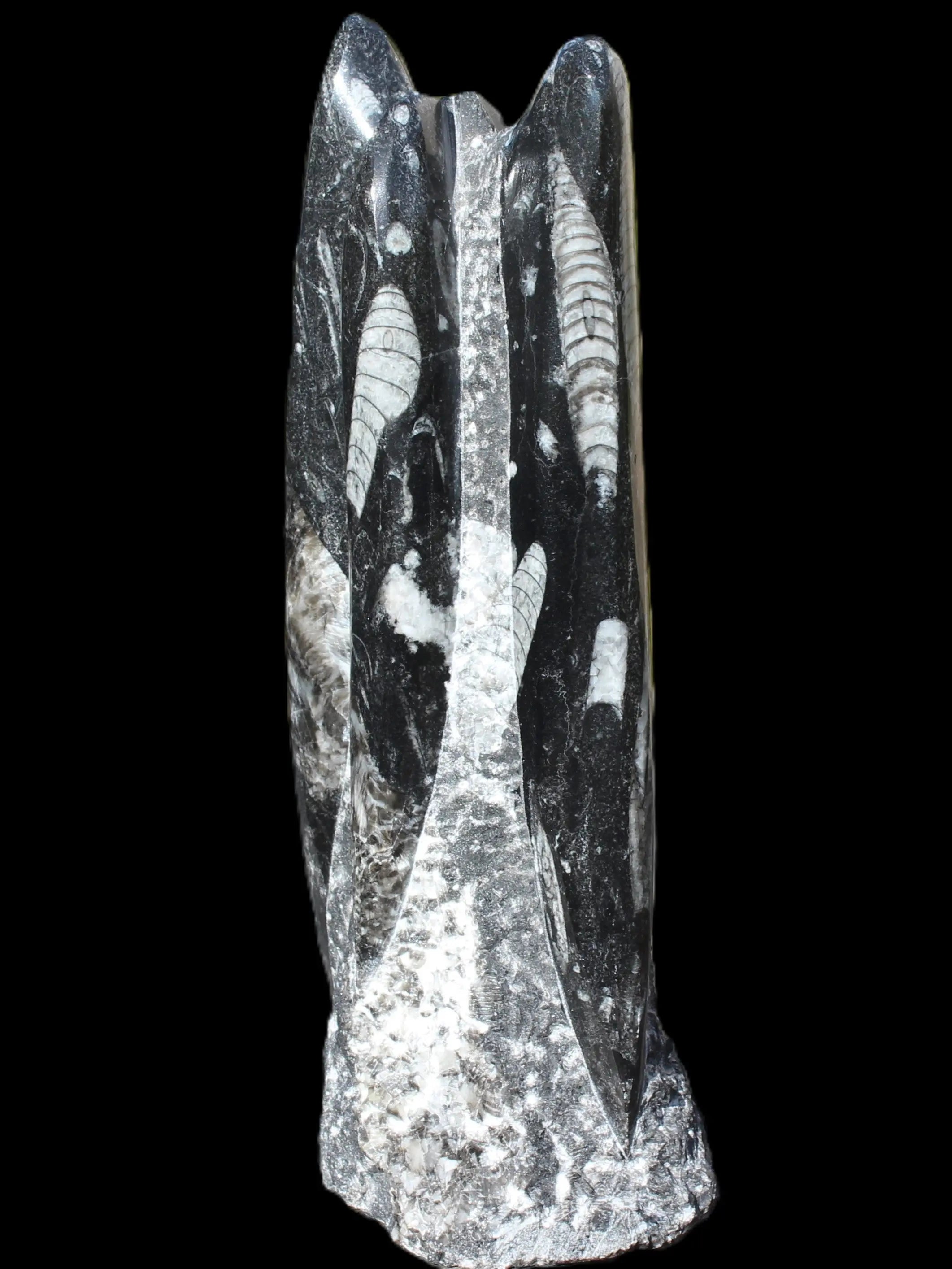 Orthoceras fossil tower 1279g Rocks and Things
