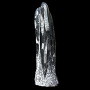 Orthoceras fossil tower 1279g Rocks and Things
