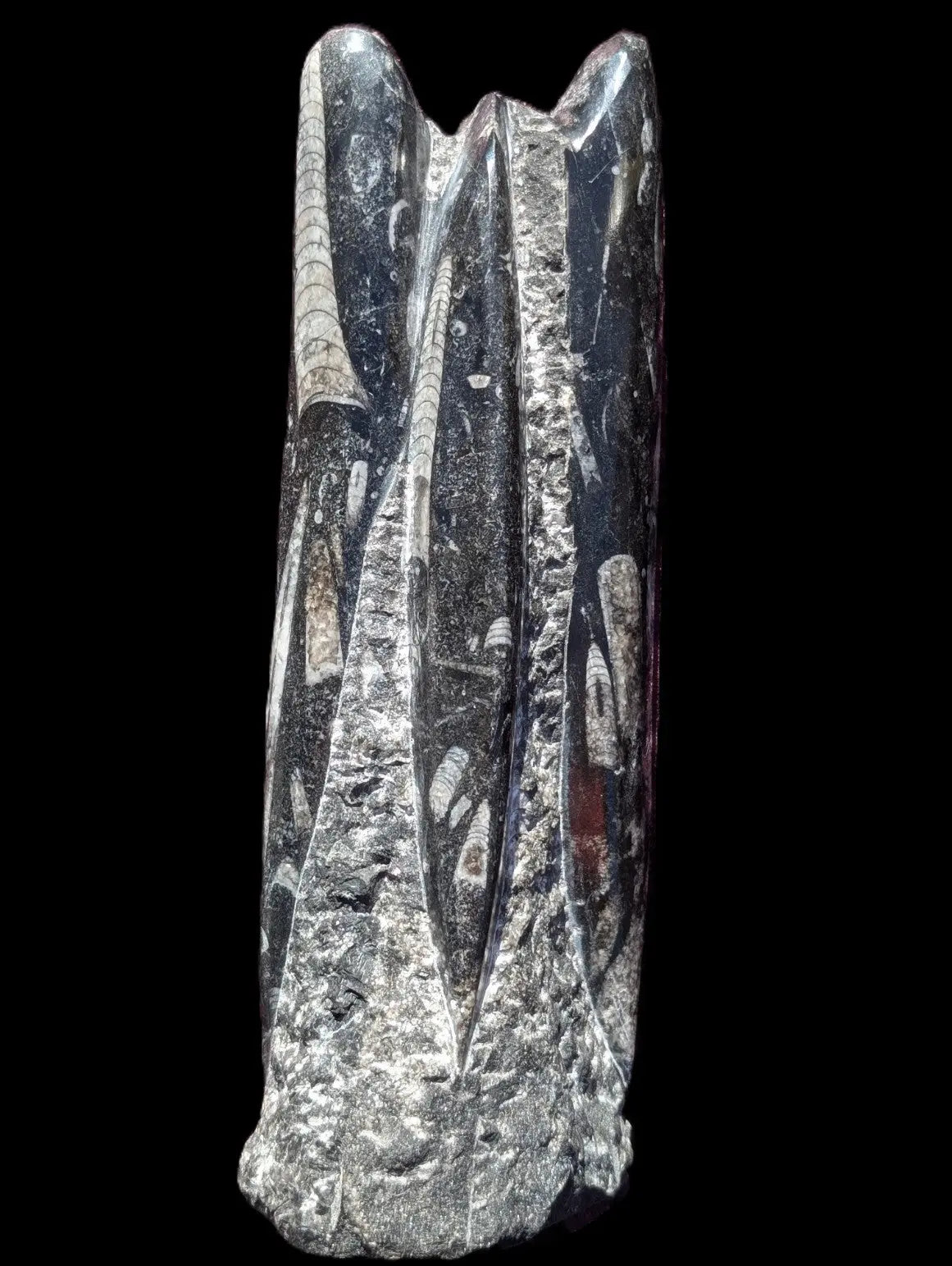 Orthoceras fossil tower 1279g Rocks and Things