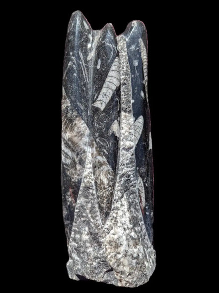 Orthoceras fossil tower 1279g Rocks and Things