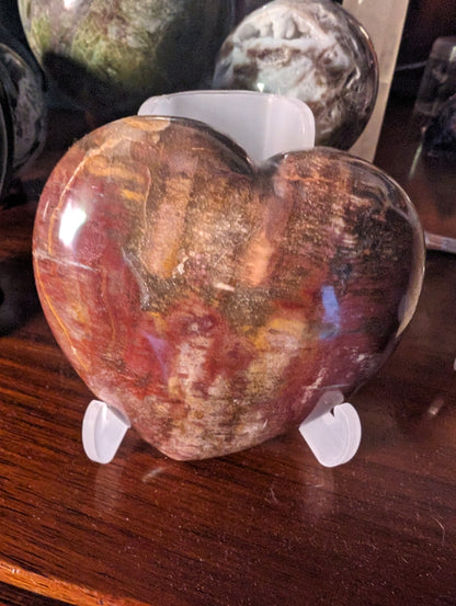 Petrified Wood heart from Madagascar 276g Rocks and Things