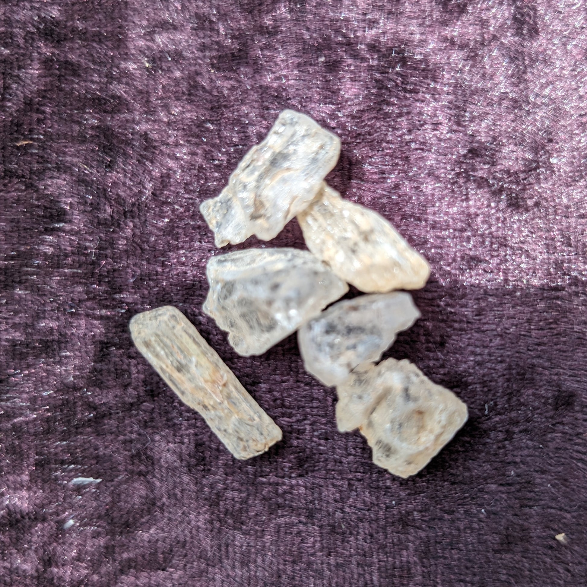 Golden Scapolite from Tanzania 6-8 crystals 7-8g Rocks and Things