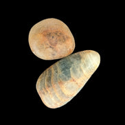 Pelllucid Caribbean Calcite Aragonite polished stones 14-18g Rocks and Things