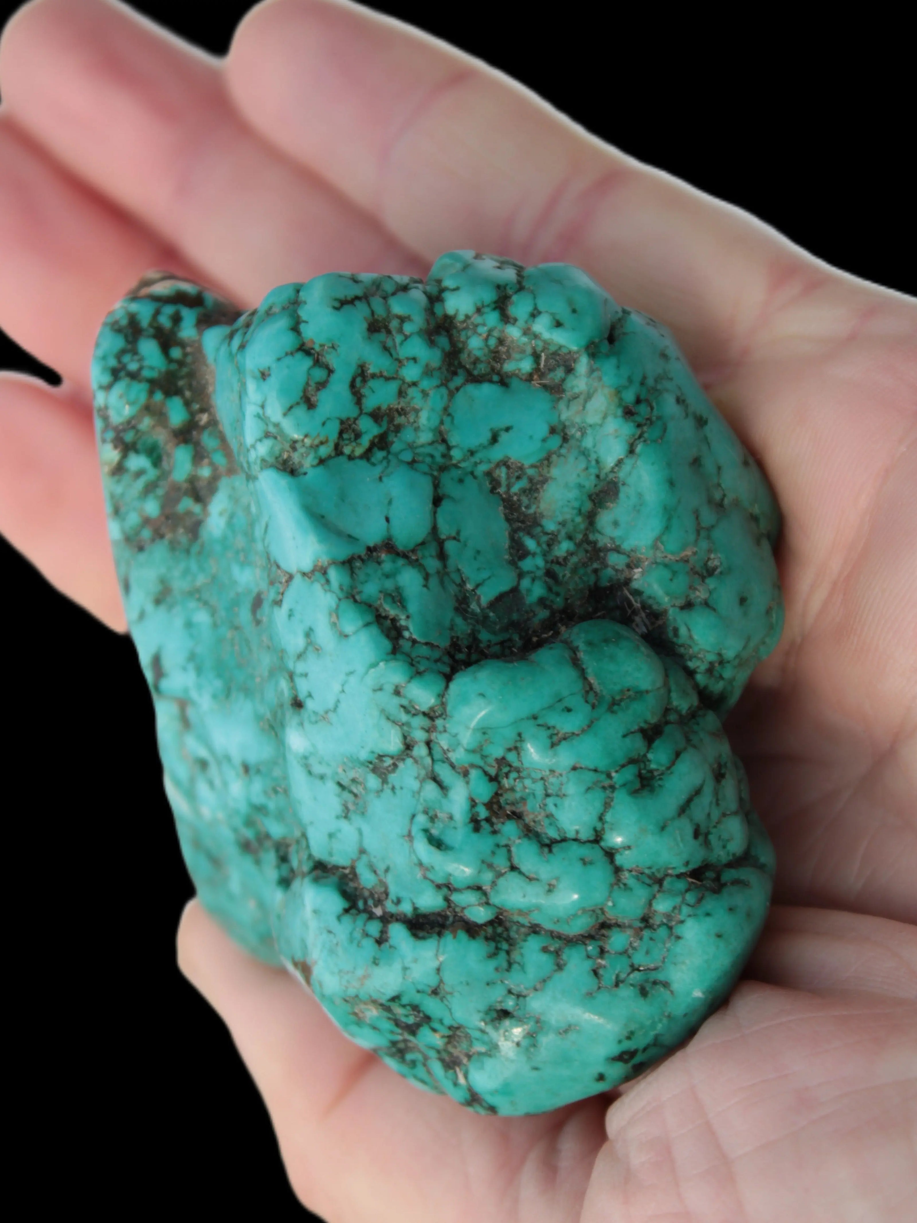 Persian Turquoise 58g Rocks and Things