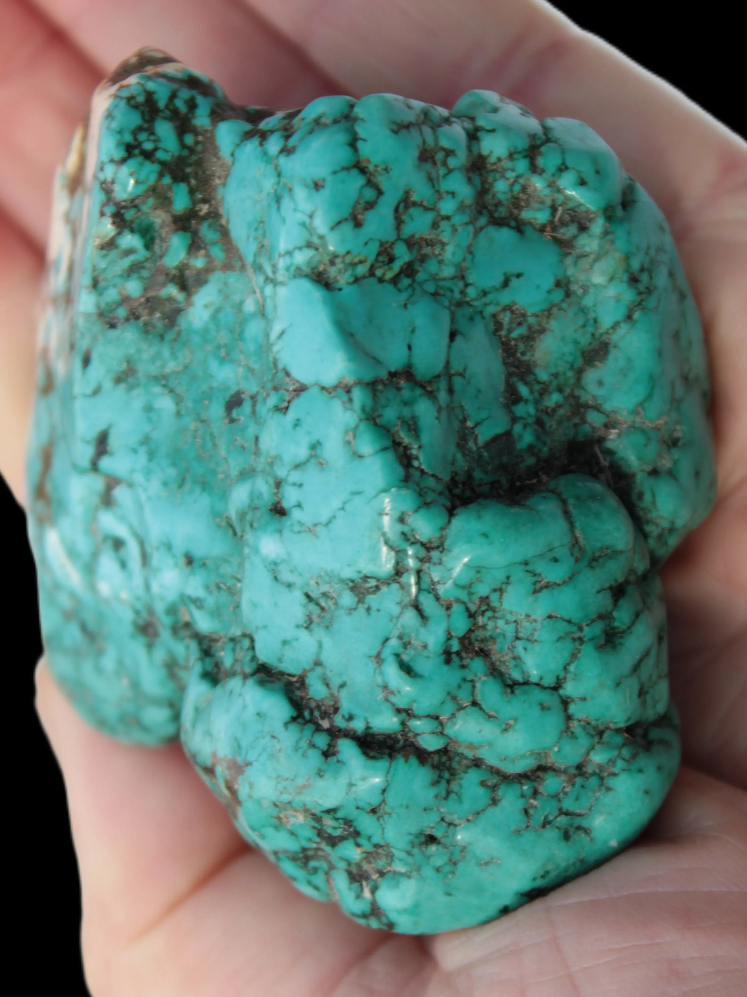 Persian Turquoise 58g Rocks and Things