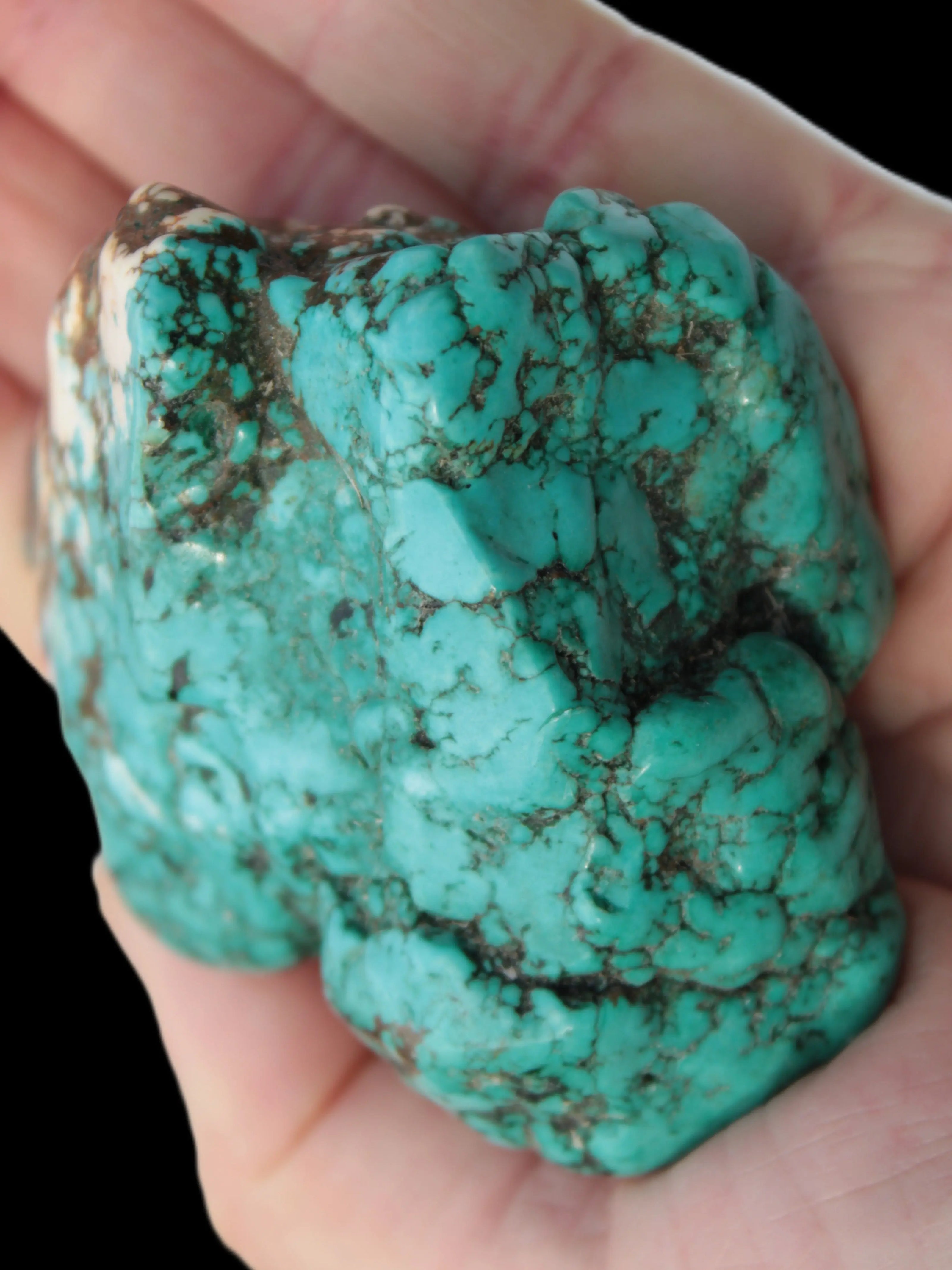 Persian Turquoise 58g Rocks and Things