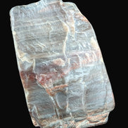 Petrified Wood from Xinjiang China 207g in sunshine - Rocks and Things Store