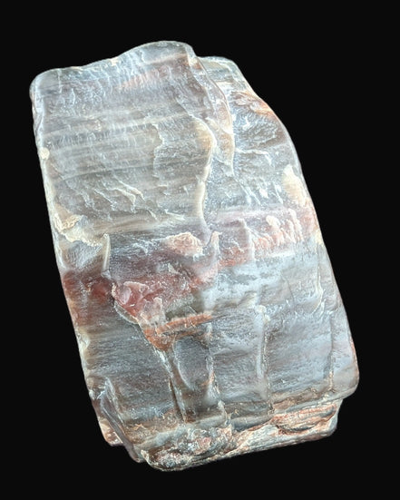 Petrified Wood from Xinjiang China 207g in sunshine - Rocks and Things Store