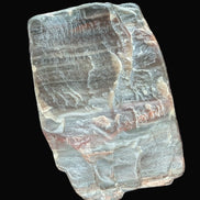 Petrified Wood from Xinjiang China 207g in sunshine - Rocks and Things Store