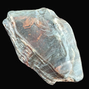 Petrified Wood from Xinjiang China 207g in sunshine - Rocks and Things Store