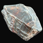 Petrified Wood from Xinjiang China 207g in sunshine - Rocks and Things Store