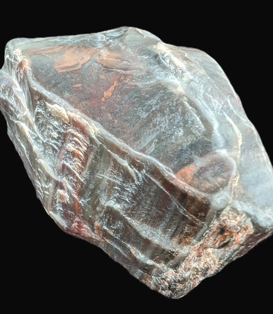 Petrified Wood from Xinjiang China 207g in sunshine - Rocks and Things Store