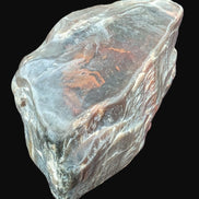 Petrified Wood from Xinjiang China 207g in sunshine - Rocks and Things Store