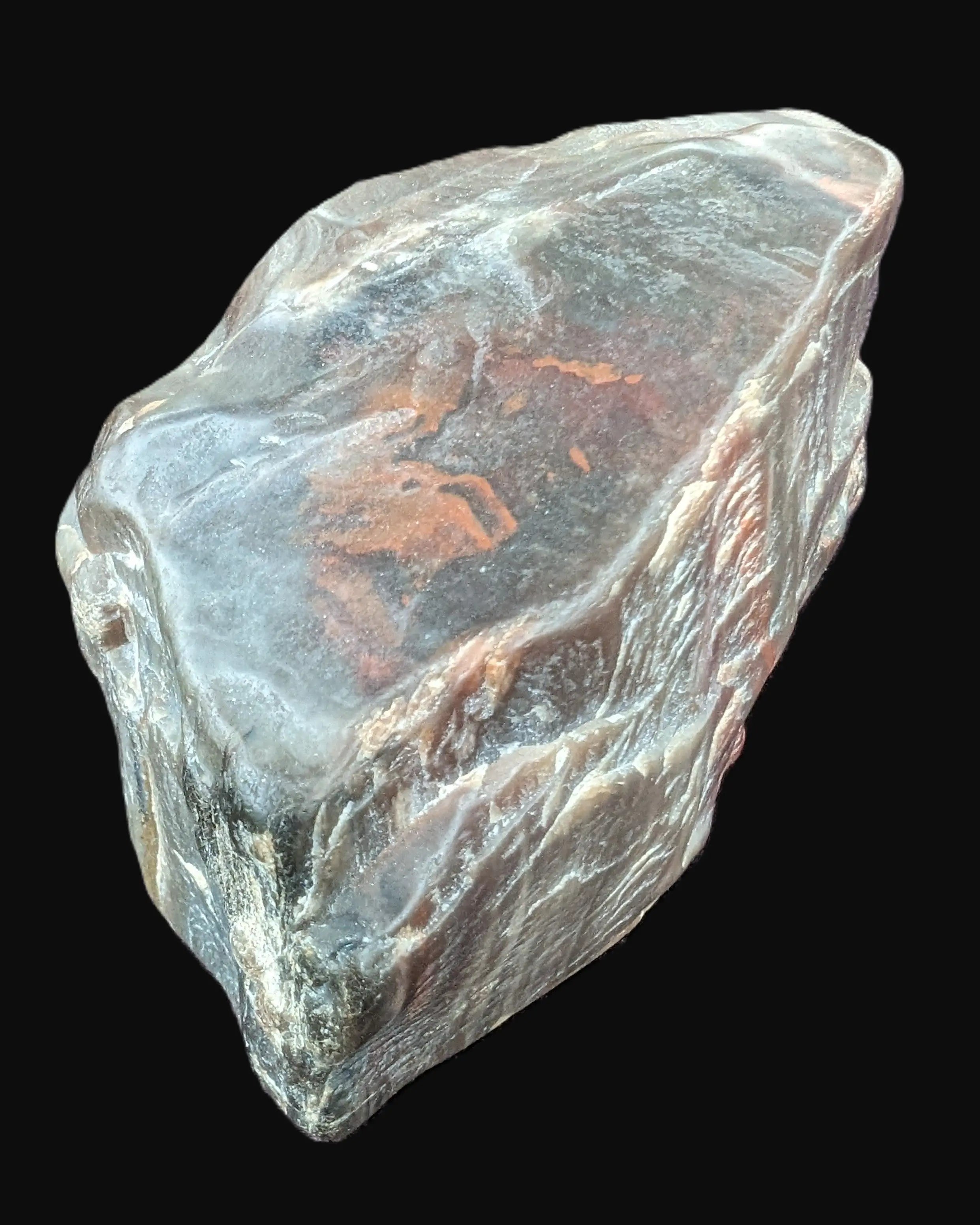 Petrified Wood from Xinjiang China 207g in sunshine - Rocks and Things Store