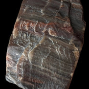 Petrified Wood from Xinjiang China 207g in sunshine - Rocks and Things Store