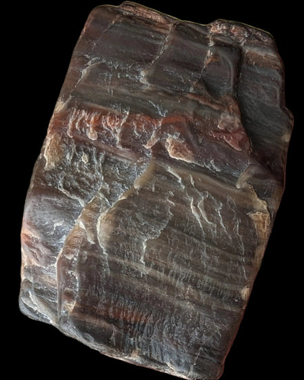 Petrified Wood from Xinjiang China 207g in sunshine - Rocks and Things Store