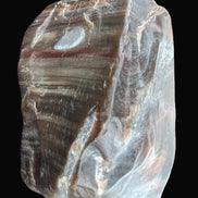 Petrified Wood from Xinjiang China 207g in sunshine - Rocks and Things Store