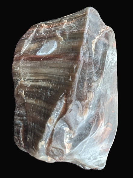 Petrified Wood from Xinjiang China 207g in sunshine - Rocks and Things Store