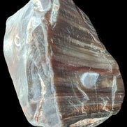 Petrified Wood from Xinjiang China 207g in sunshine - Rocks and Things Store