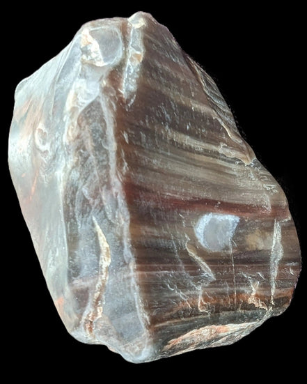 Petrified Wood from Xinjiang China 207g in sunshine - Rocks and Things Store