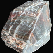 Petrified Wood from Xinjiang China 207g in sunshine - Rocks and Things Store