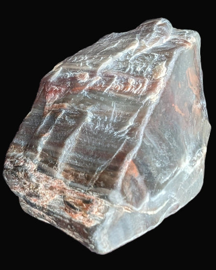 Petrified Wood from Xinjiang China 207g in sunshine - Rocks and Things Store