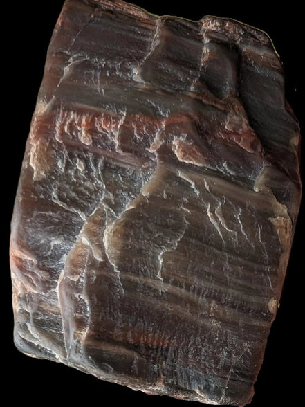 Petrified Wood from Xinjiang China 207g in sunshine - Rocks and Things Store