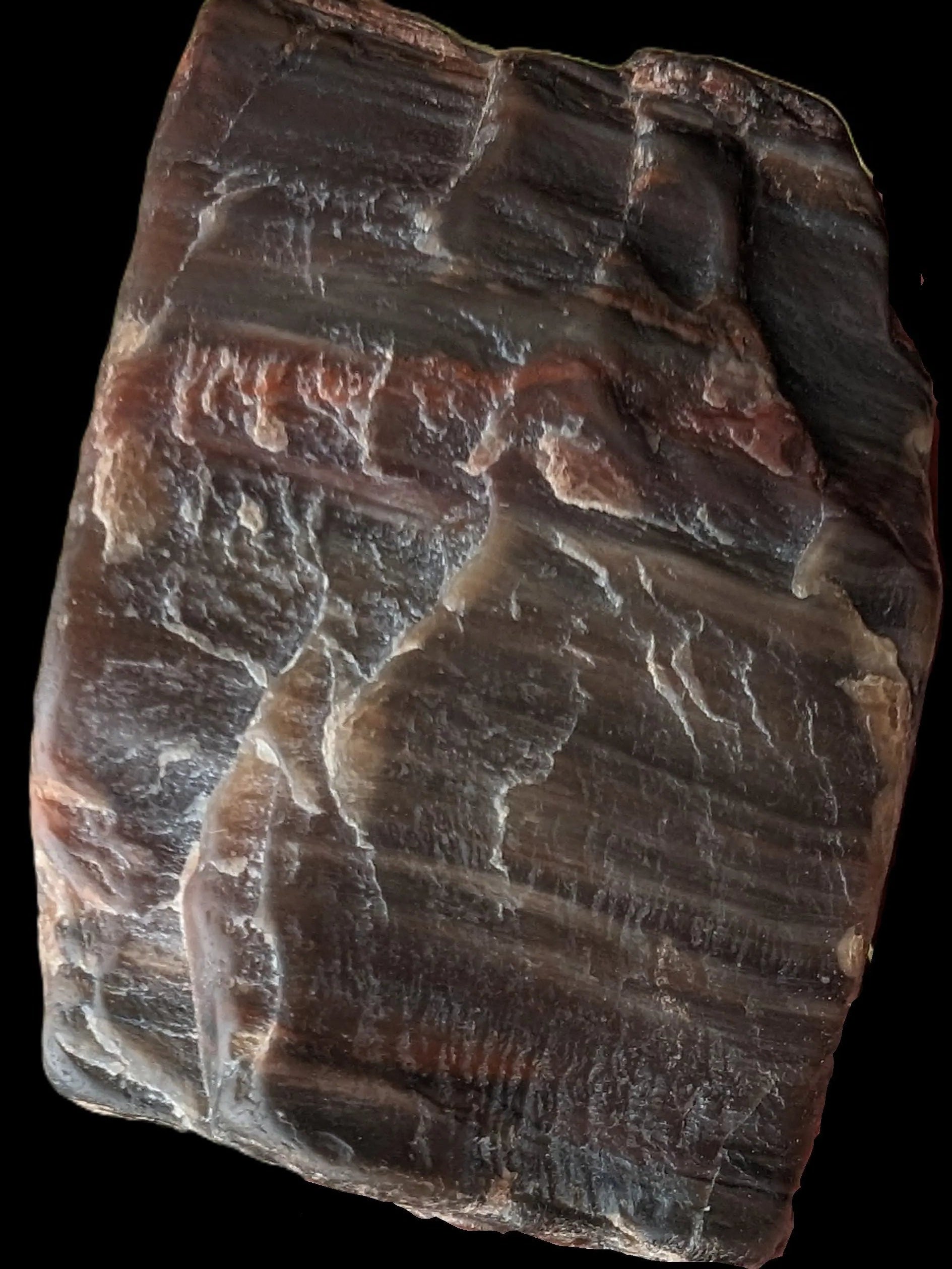 Petrified Wood from Xinjiang China 207g in sunshine - Rocks and Things Store