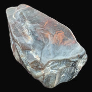 Petrified Wood from Xinjiang China 207g in sunshine - Rocks and Things Store