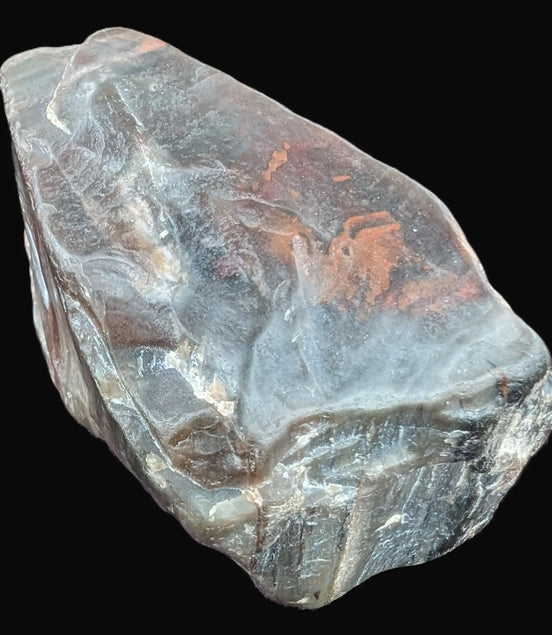 Petrified Wood from Xinjiang China 207g in sunshine - Rocks and Things Store