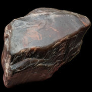 Petrified Wood from Xinjiang China 207g in sunshine - Rocks and Things Store