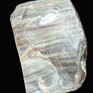 Petrified Wood from Xinjiang China 207g in sunshine - Rocks and Things Store