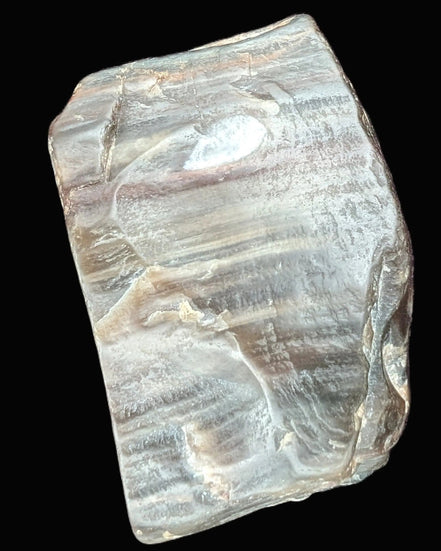 Petrified Wood from Xinjiang China 207g in sunshine - Rocks and Things Store