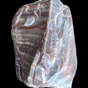 Petrified Wood from Xinjiang China 207g in sunshine - Rocks and Things Store