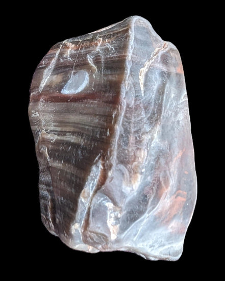 Petrified Wood from Xinjiang China 207g in sunshine - Rocks and Things Store