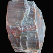 Petrified Wood from Xinjiang China 207g in sunshine - Rocks and Things Store