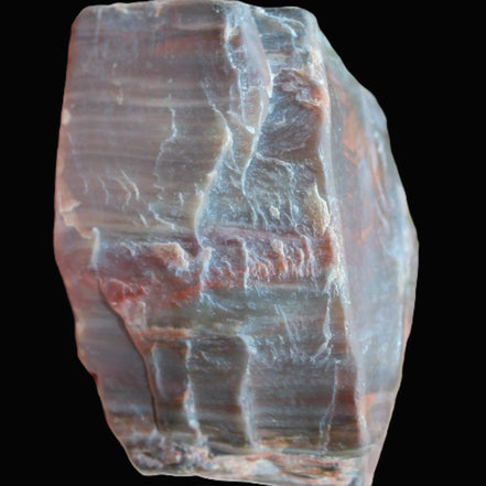 Petrified Wood from Xinjiang China 207g in sunshine - Rocks and Things Store