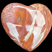 Petrified Wood heart 315g in sunlight - Rocks and Things Store