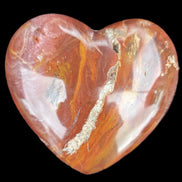 Petrified Wood heart 315g in sunlight - Rocks and Things Store