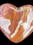 Petrified Wood heart 315g in sunlight - Rocks and Things Store