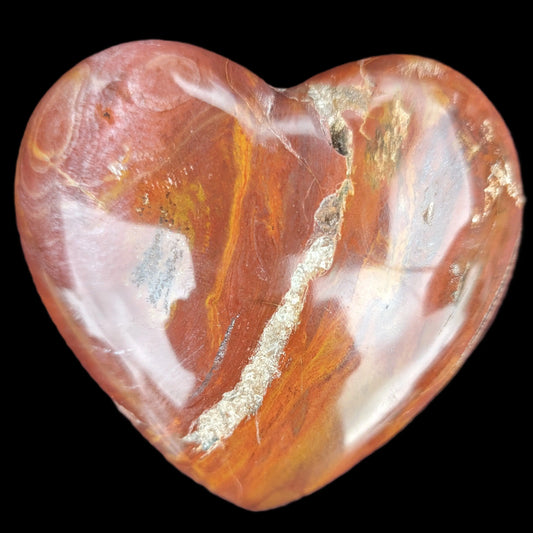 Petrified Wood heart 315g Rocks and Things