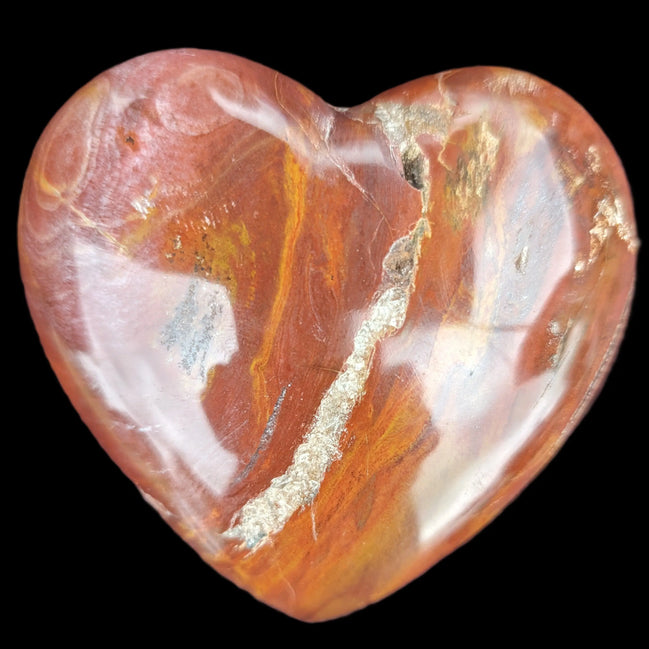 Petrified Wood heart 315g in sunlight - Rocks and Things Store