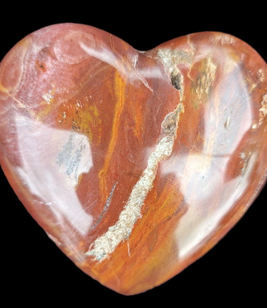 Petrified Wood heart 315g in sunlight - Rocks and Things Store